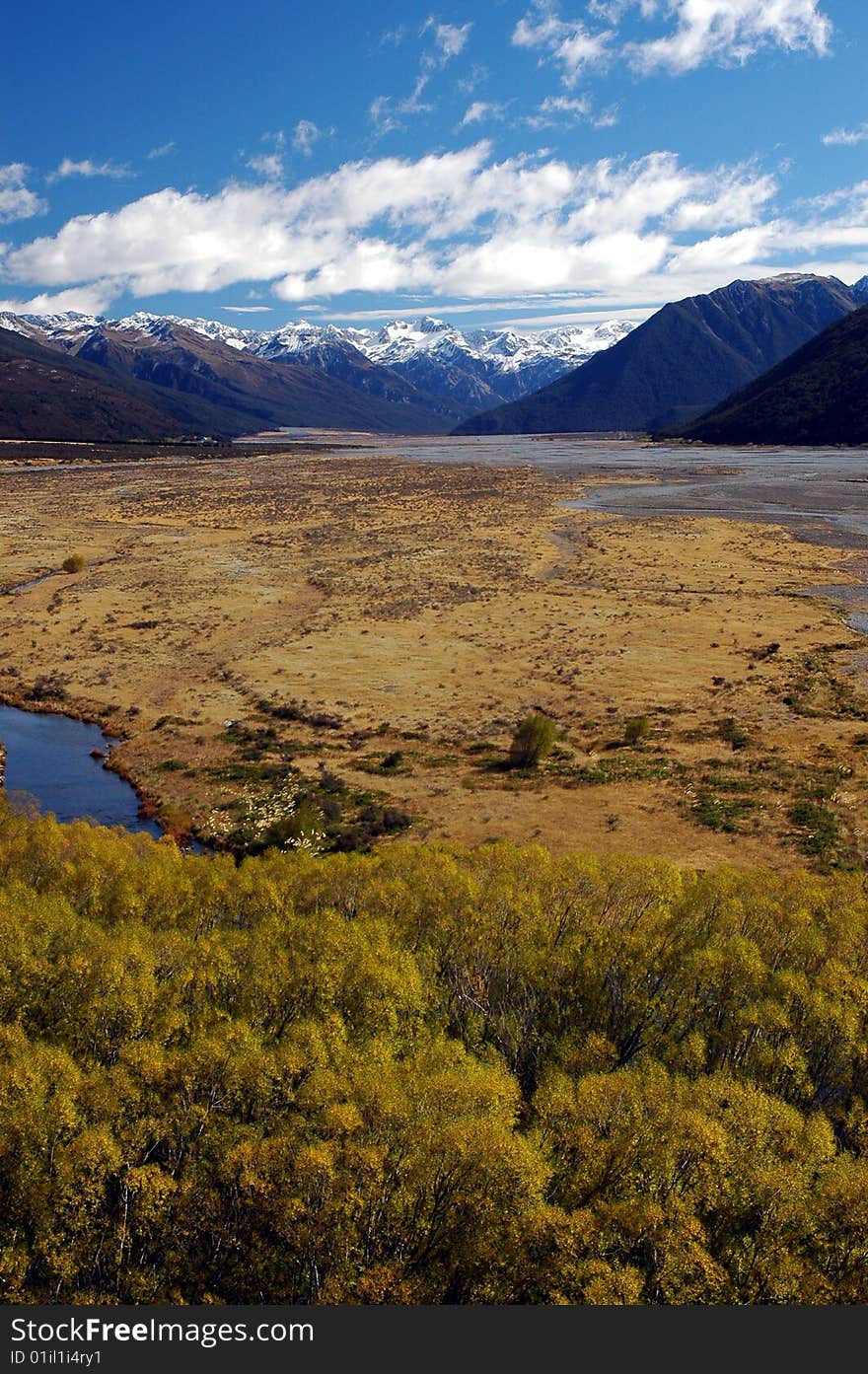 River flood plain in the South Island