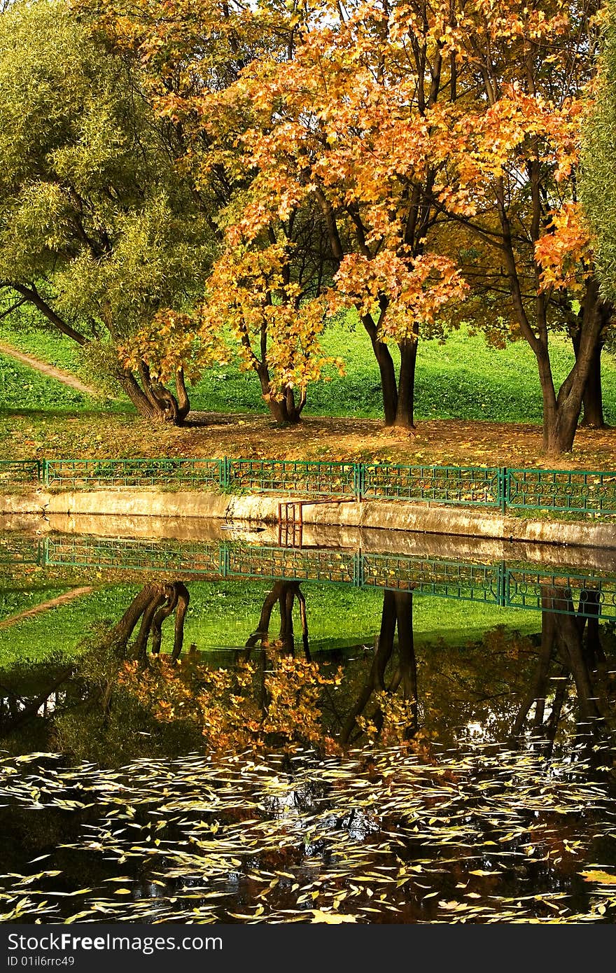 An autumn view of trees reflecting in water. An autumn view of trees reflecting in water