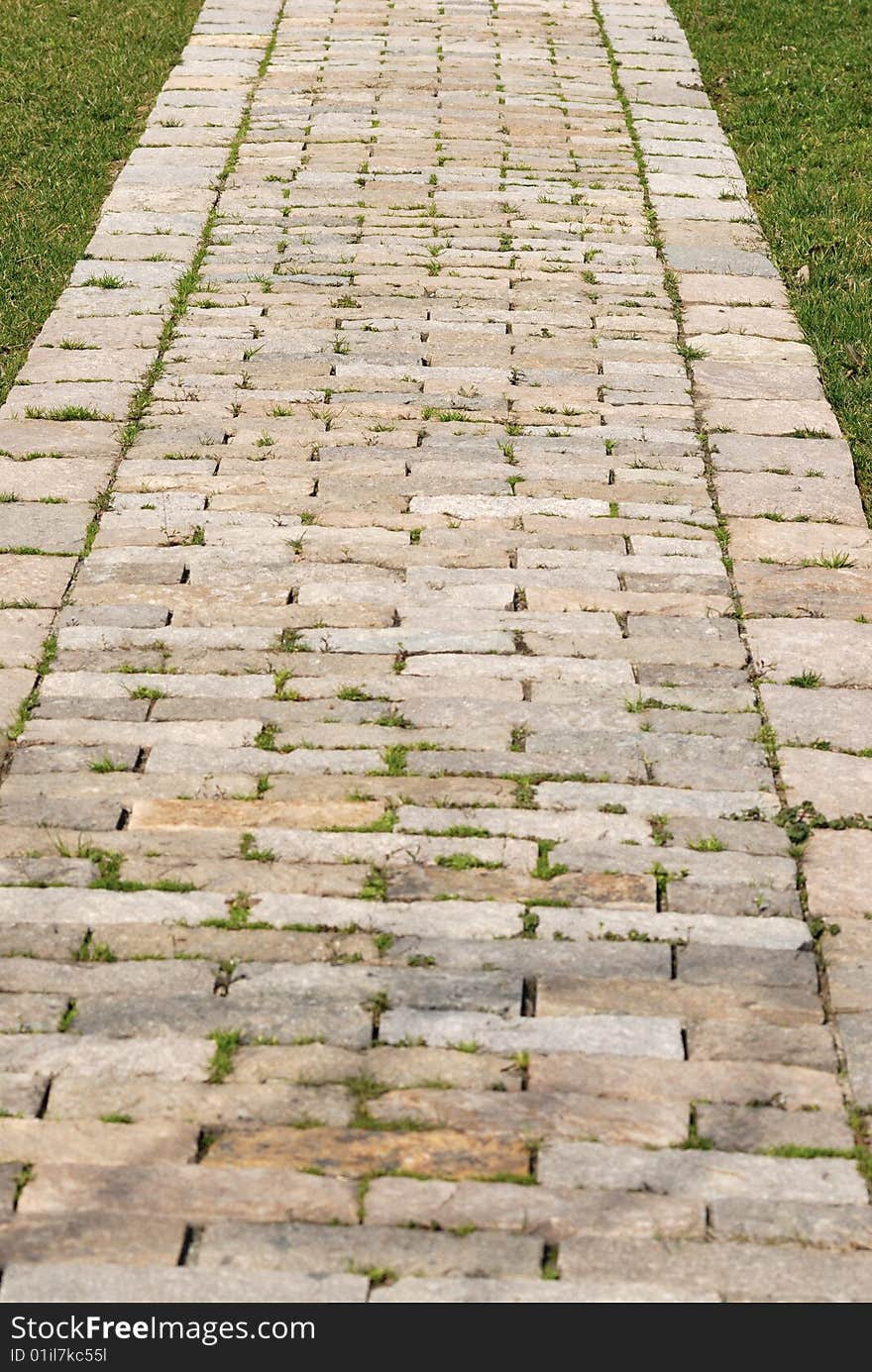 Garden stone path with grass. Garden stone path with grass