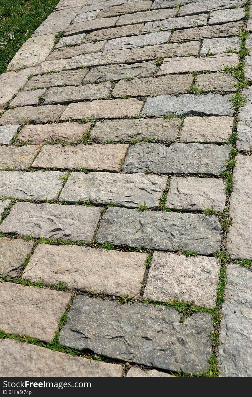 Garden stone path with grass. Garden stone path with grass