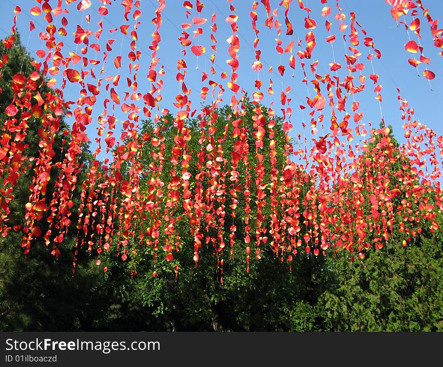 Rose petal decoration at village.