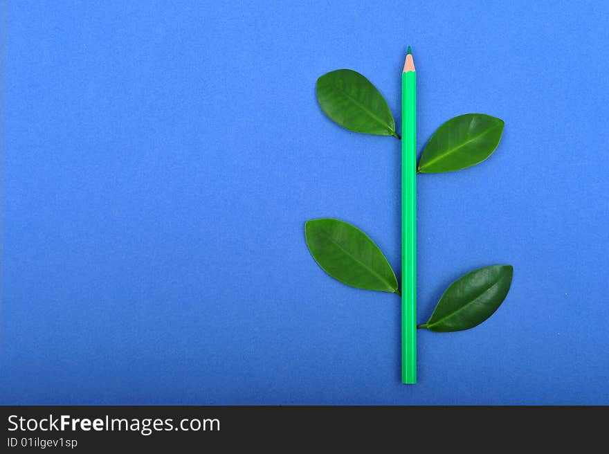 Pencil With Leaf