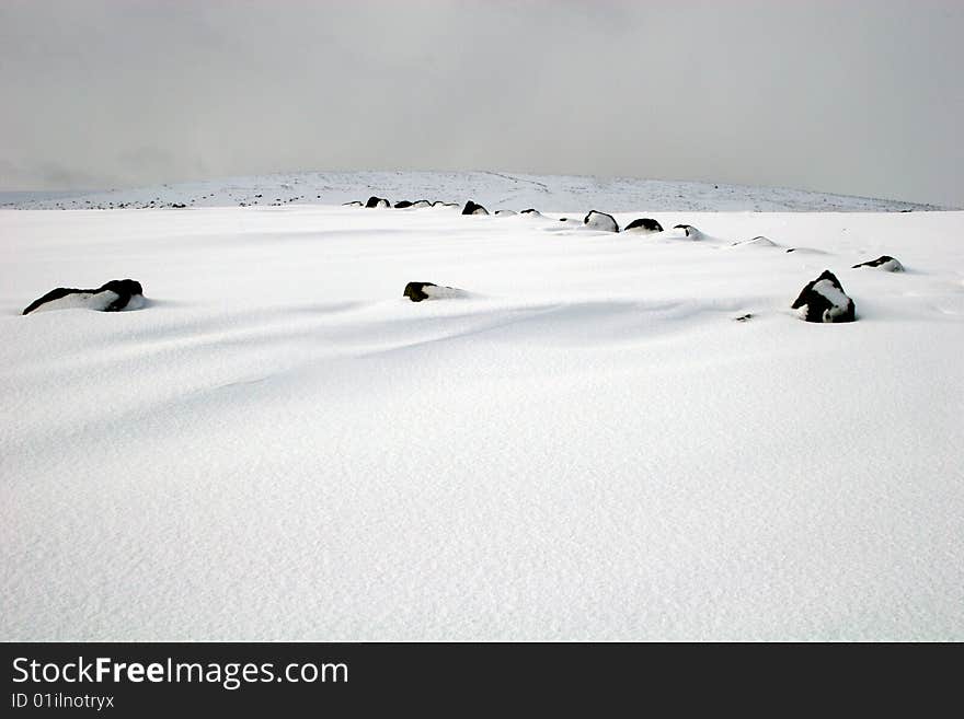 Snow on Dartmoor