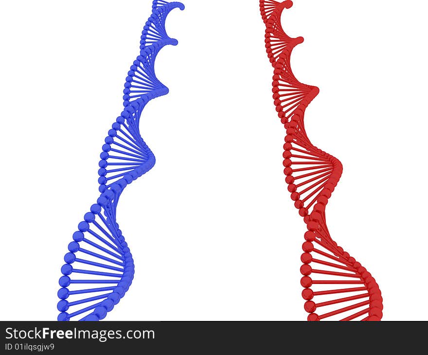 3d render of DNA on white background. 3d render of DNA on white background