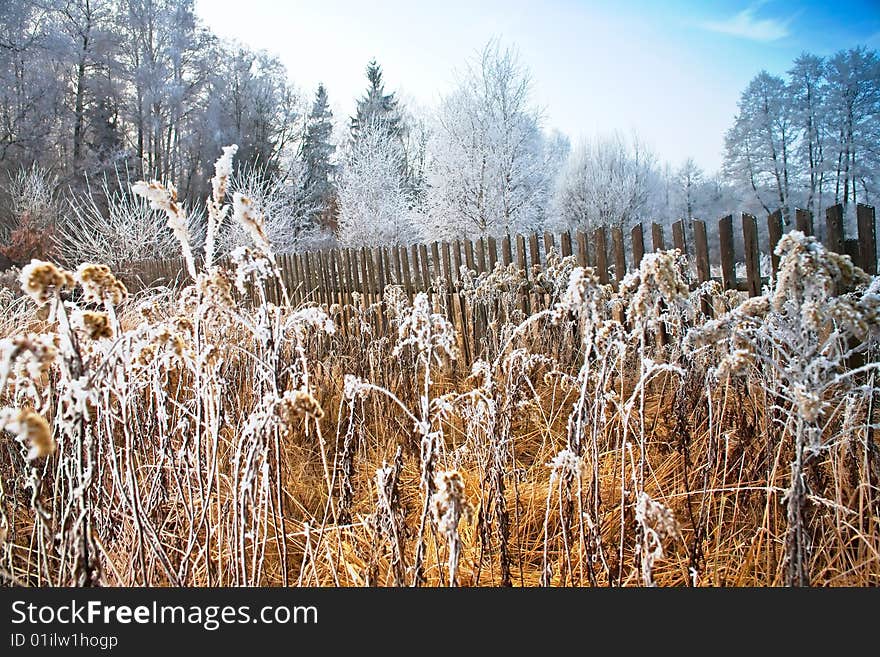 Frozen field