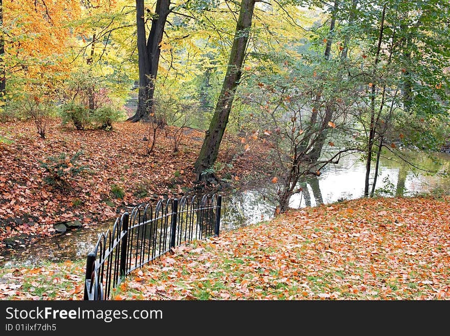 Park in fall time near lake