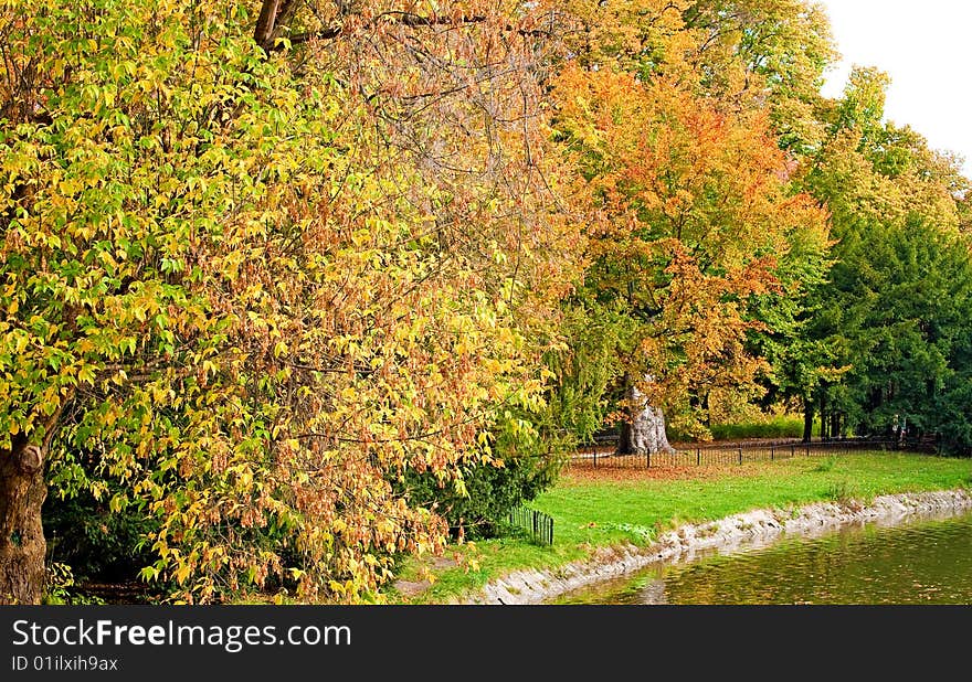 Park in fall time near lake