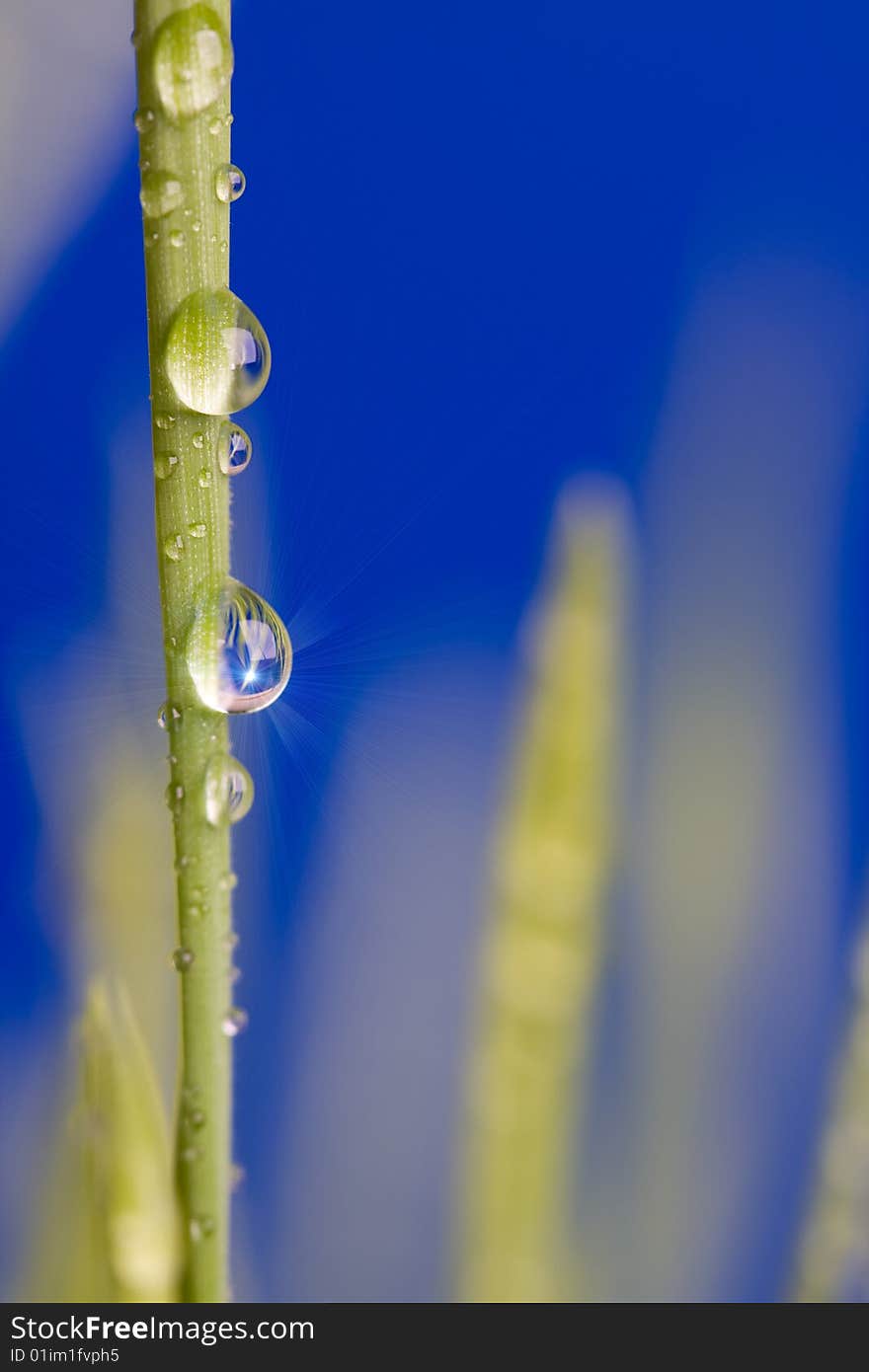 Drop on grass on a blue background