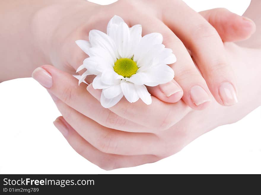 Hands isolated on white background - copy space