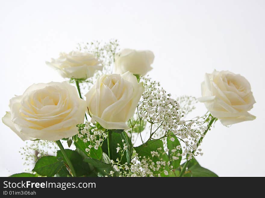 Bouquet from white roses on a light background