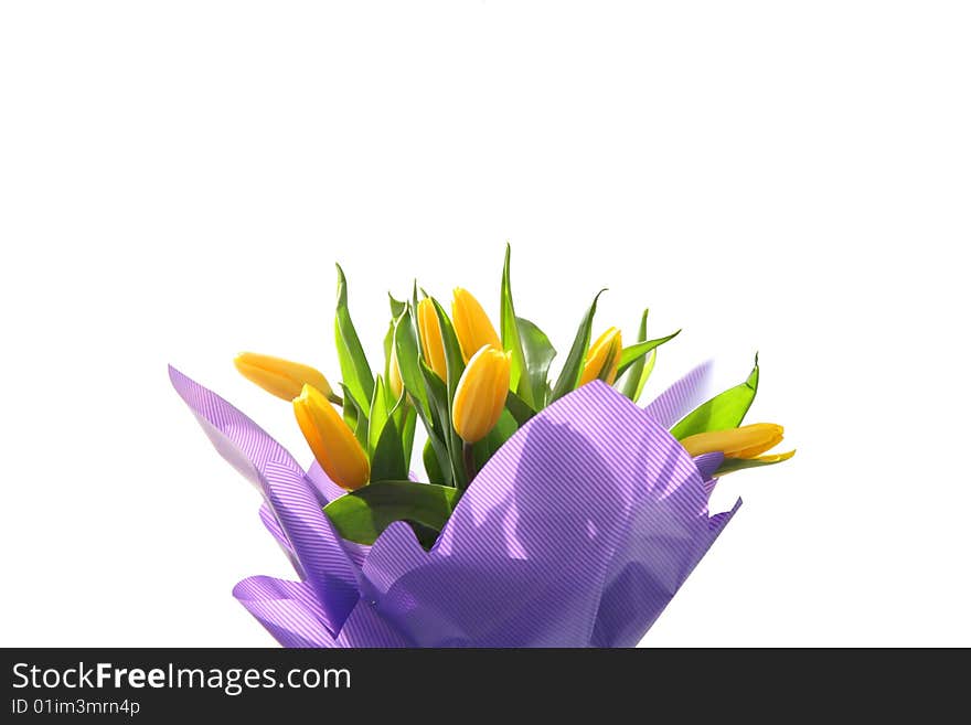 Bouquet from beautiful and bright gentle tulips. Bouquet from beautiful and bright gentle tulips