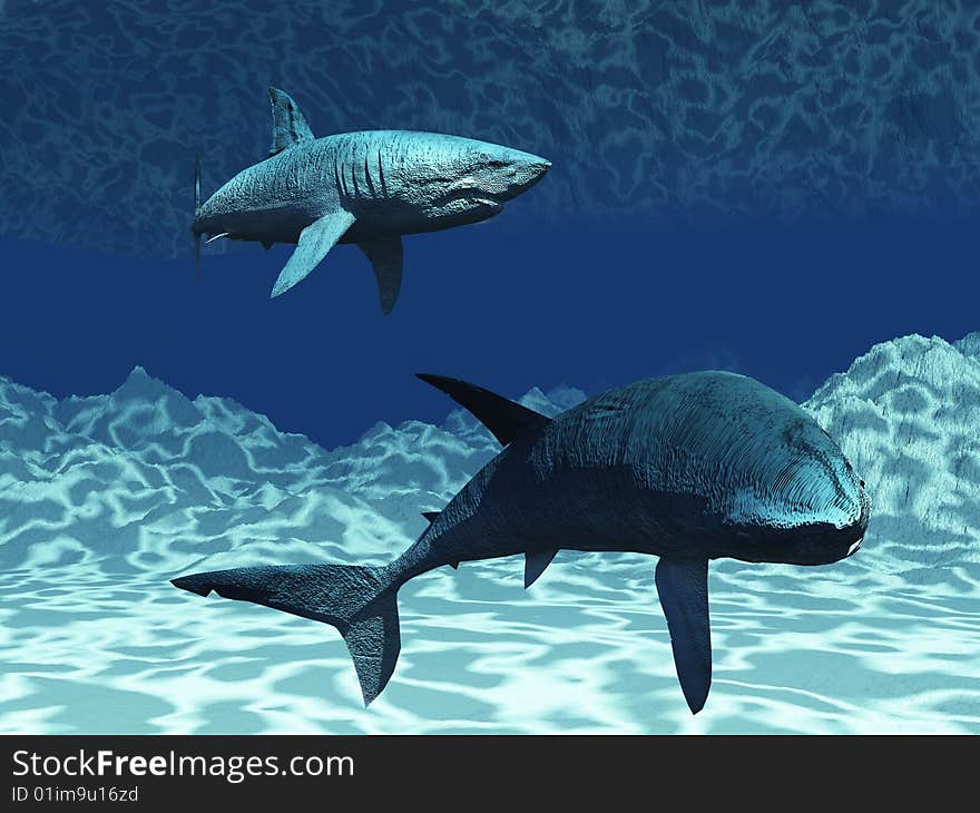 Two of sharks in the ocean. Two of sharks in the ocean