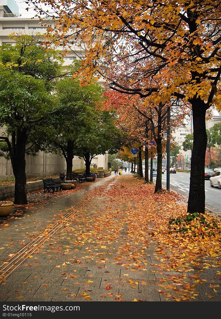 Hiroshima Streets