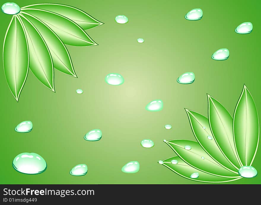 Leaves with water drops. Vector illustration. Leaves with water drops. Vector illustration.