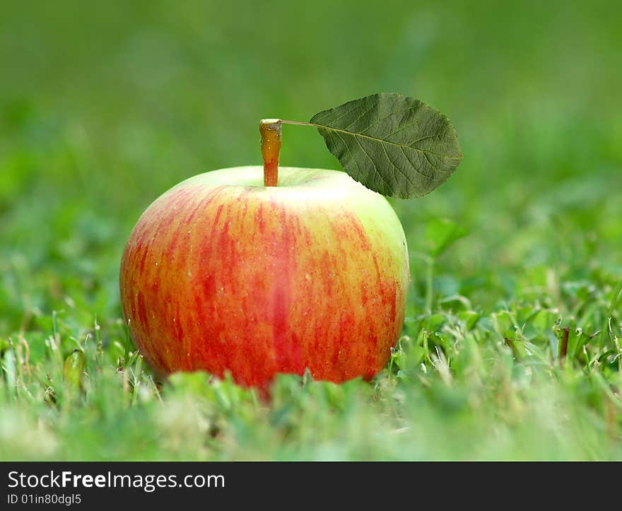 Red apple with leaf in grass