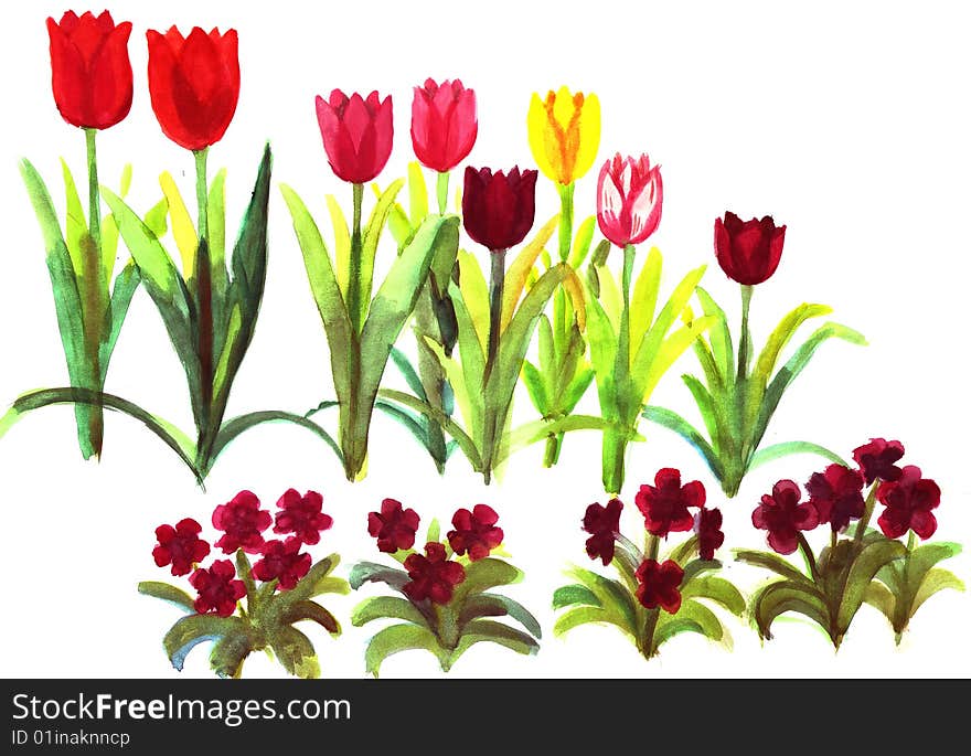 Tulips and heartseases on a white background