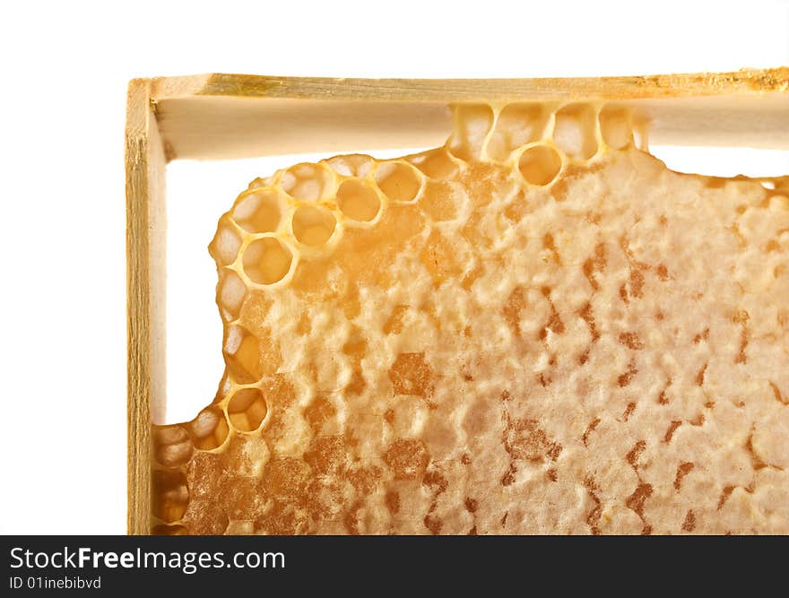 Honeycomb and frame close-up