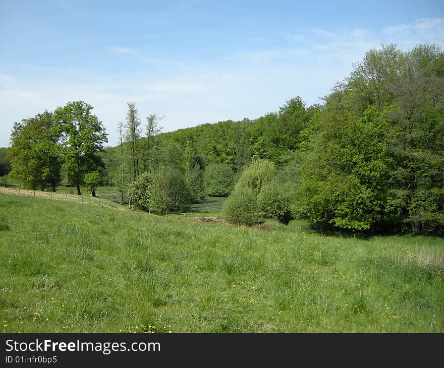 Trees and meadows around a pond