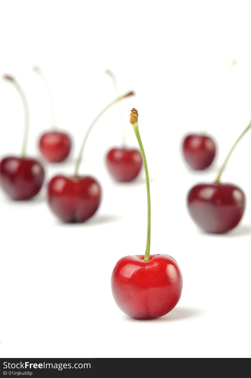 Cherries are isolated over white. Cherries are isolated over white