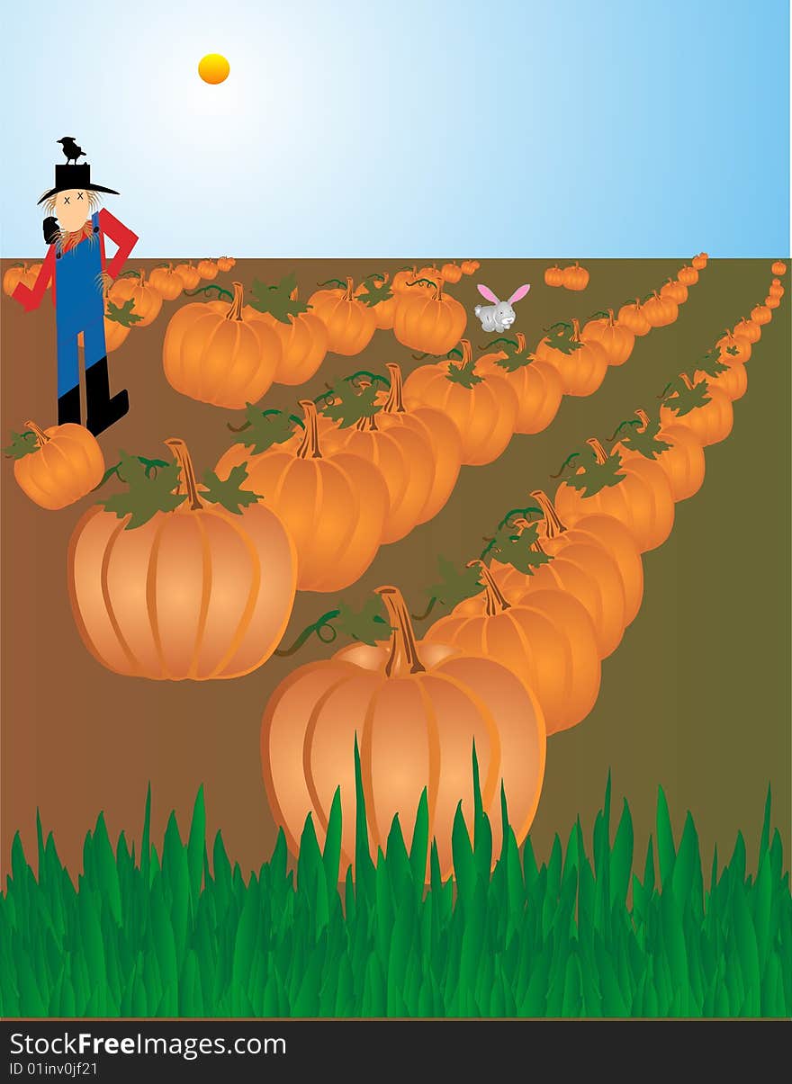 An illustration of a scarecrow guarding the field full of pumpkins, ready to be picked for Halloween and Thanksgiving...  scare the crows away, but they love him as a perch. An illustration of a scarecrow guarding the field full of pumpkins, ready to be picked for Halloween and Thanksgiving...  scare the crows away, but they love him as a perch..