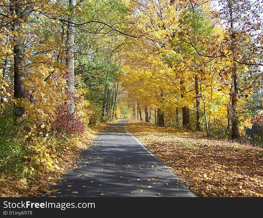 Autumn way behind karst solar of the day