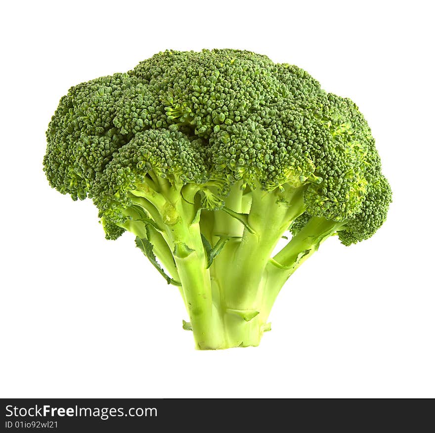 Broccoli