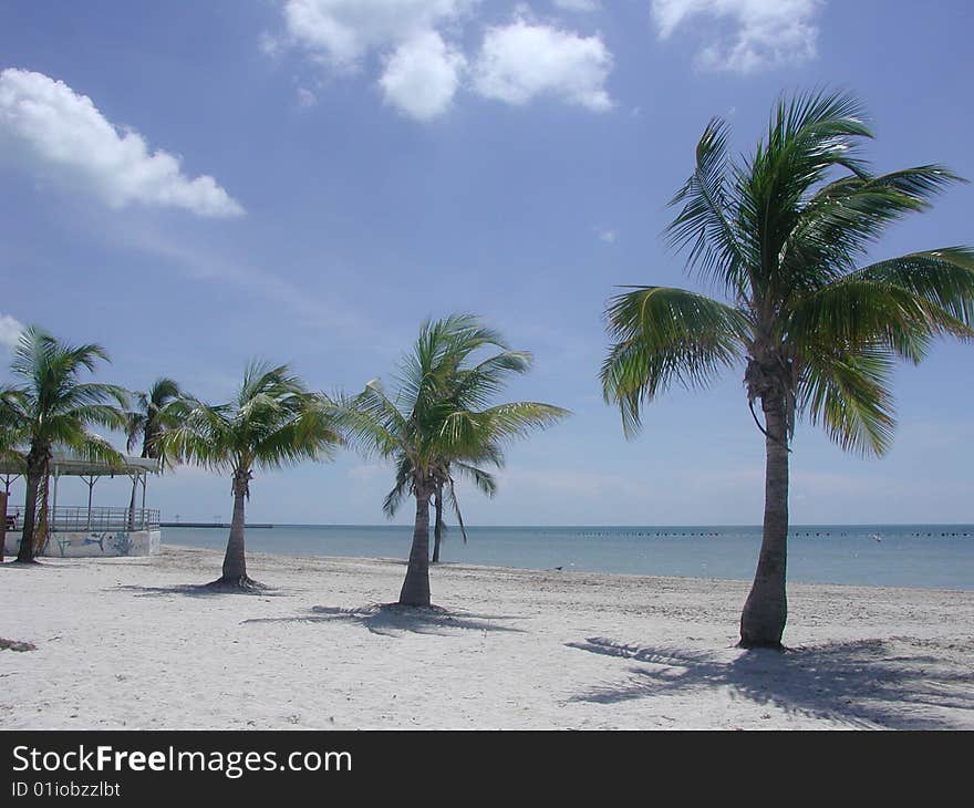 Tropical Beach