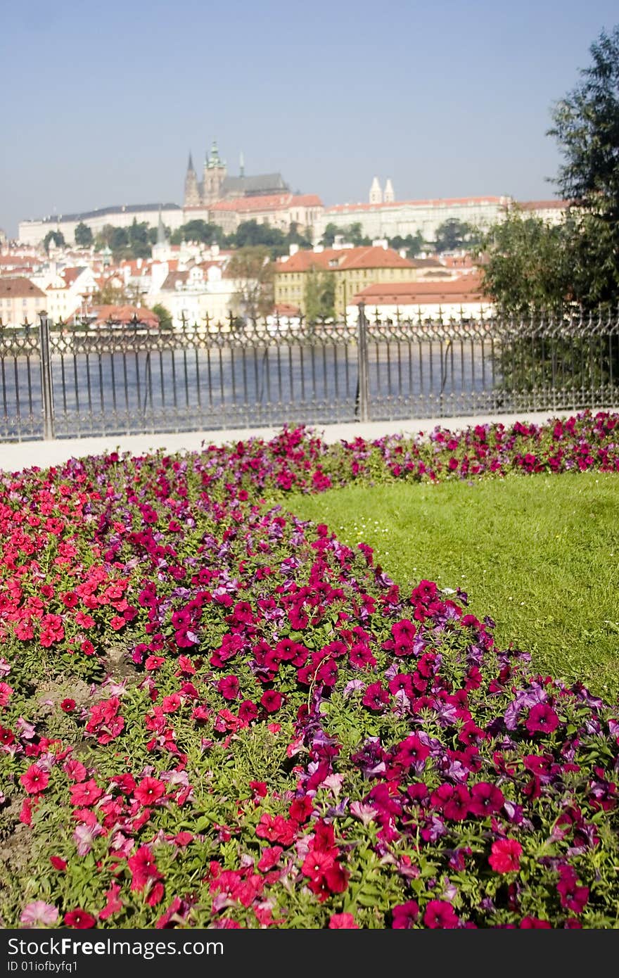 Cathedral on a hill with a river and flowers in the foreground. Cathedral on a hill with a river and flowers in the foreground