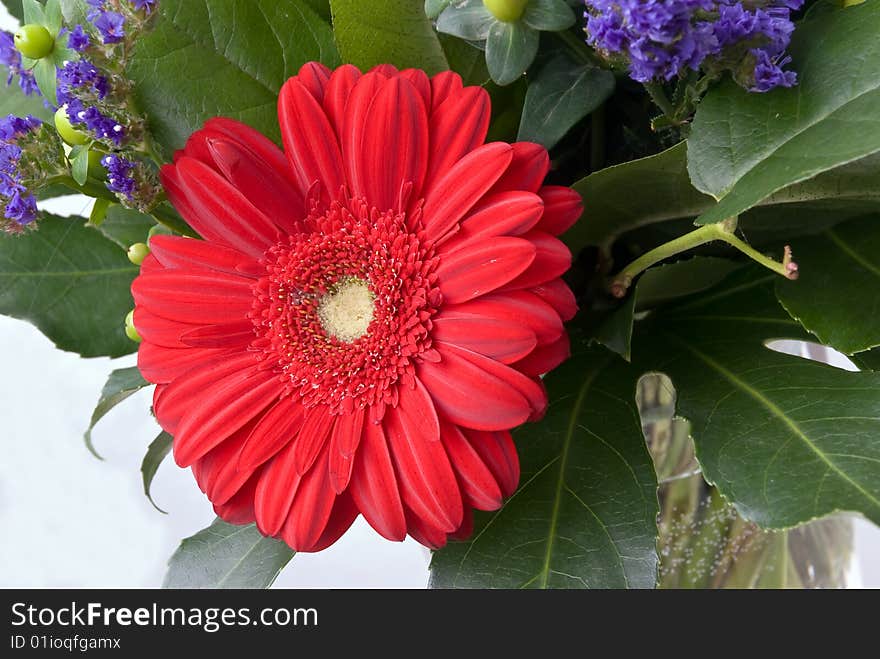 Mixed flowers bouquet,close up