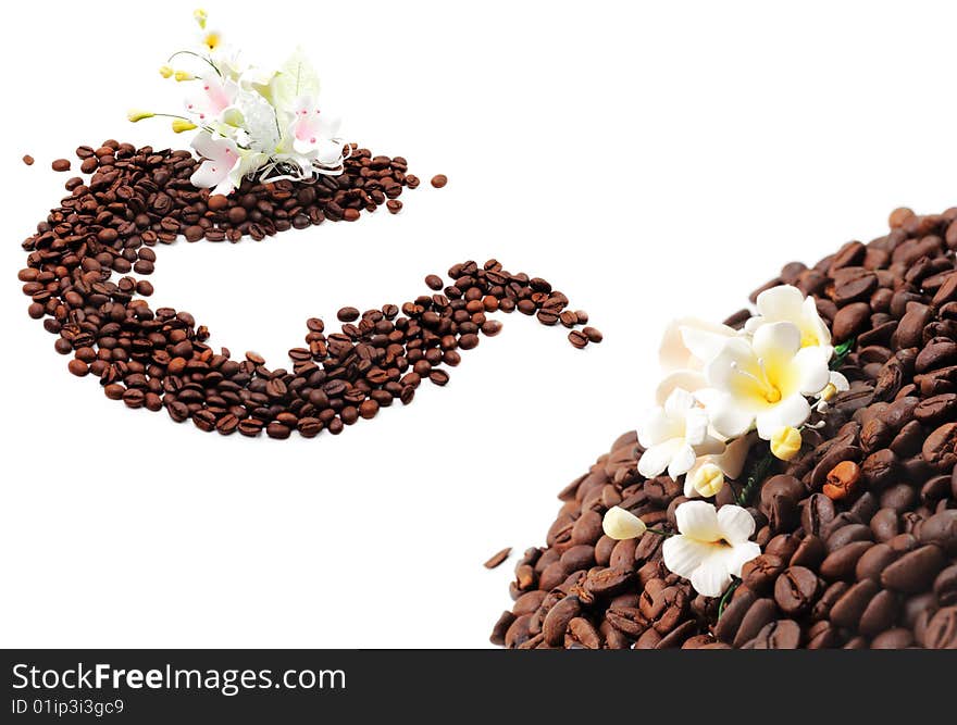 Coffee Seed with Sugar Flower