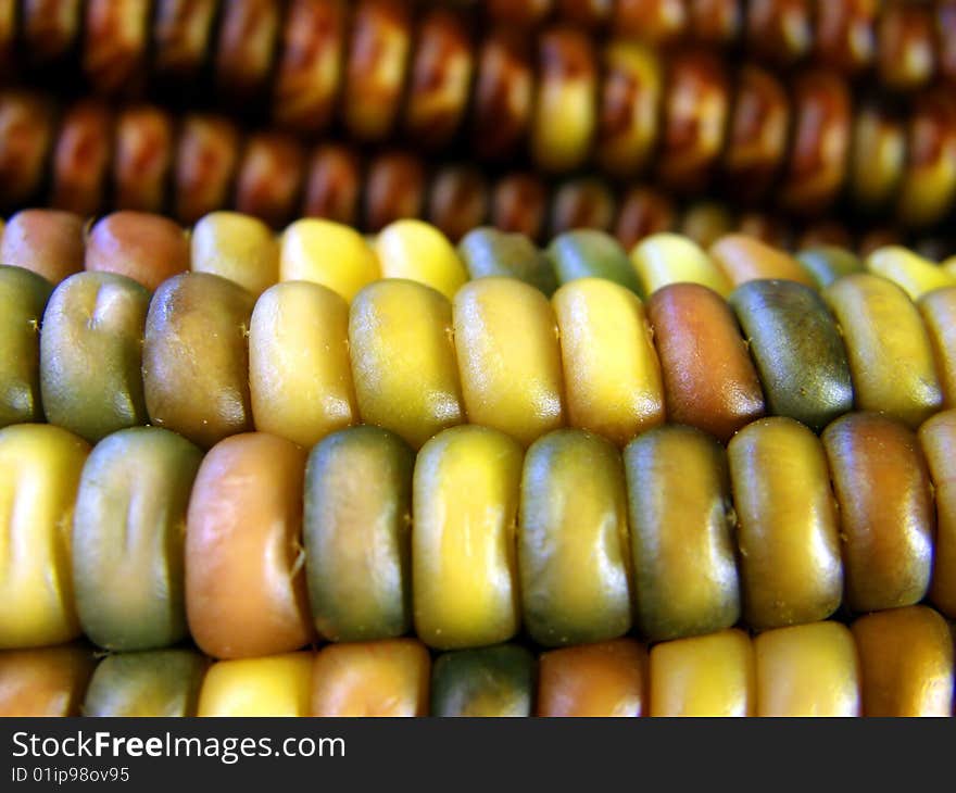 Colorful Corn