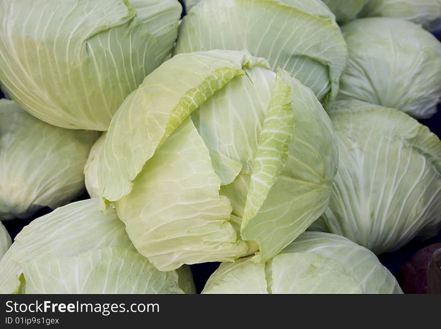 Fresh white cabbage after harvesting