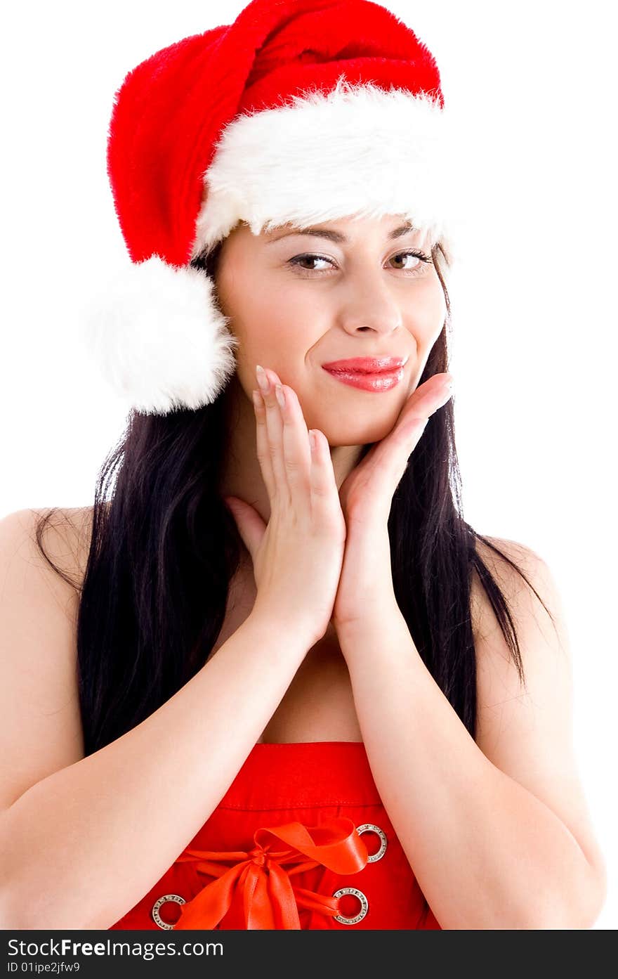 Attractive Young Female Posing In Christmas Hat