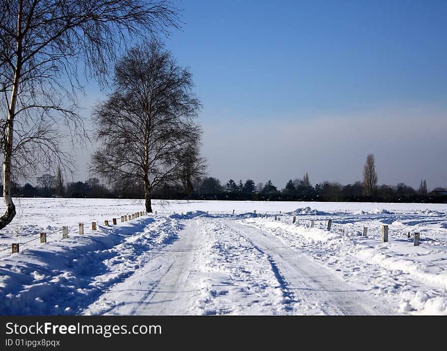 Snow Field