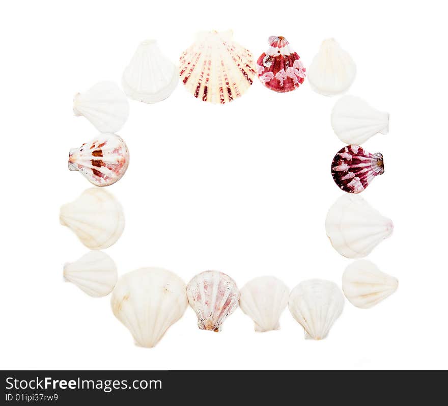 Square frame made of sea shells isolated on white background. Square frame made of sea shells isolated on white background