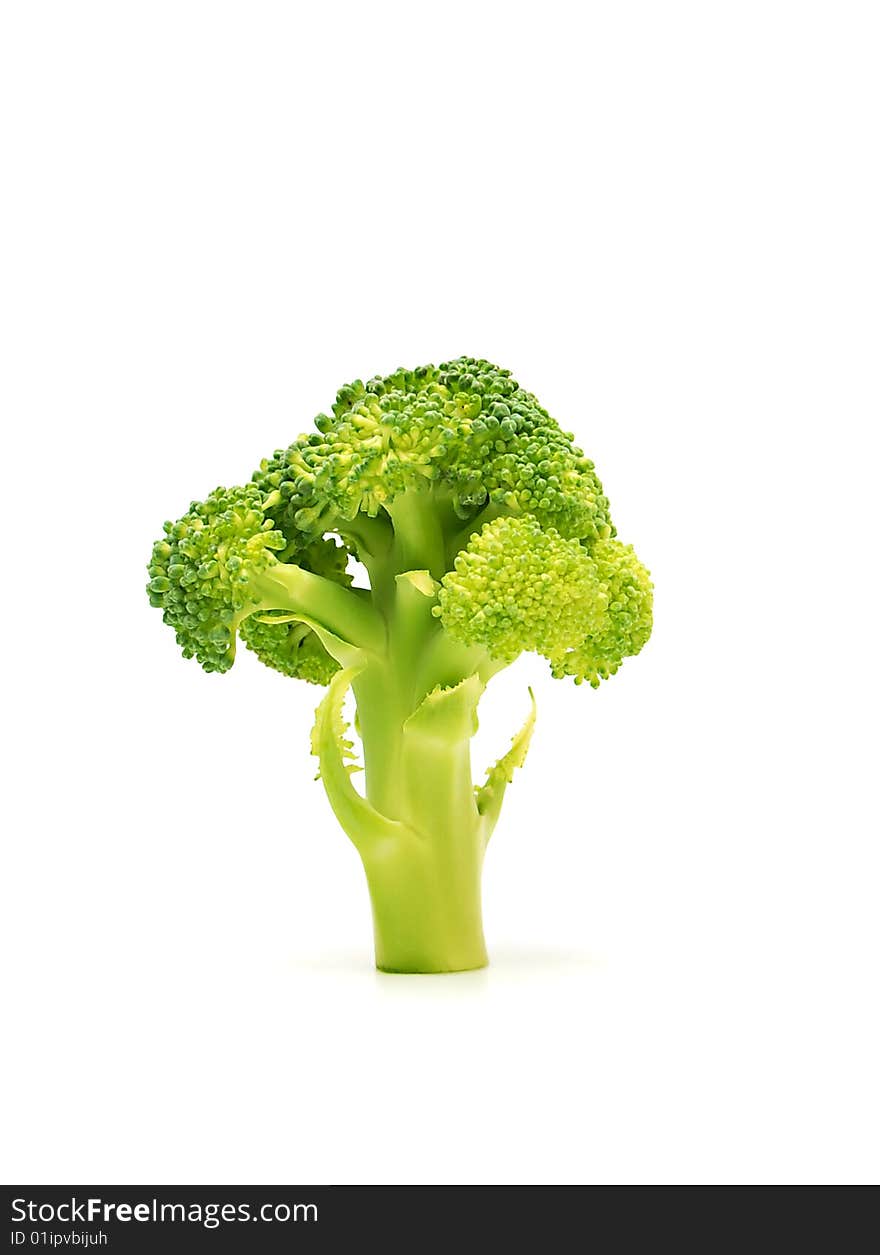 Broccoli 1