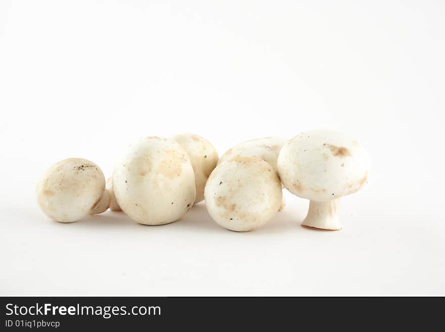 A composition of a collection of mushrooms on a bright white background. A composition of a collection of mushrooms on a bright white background