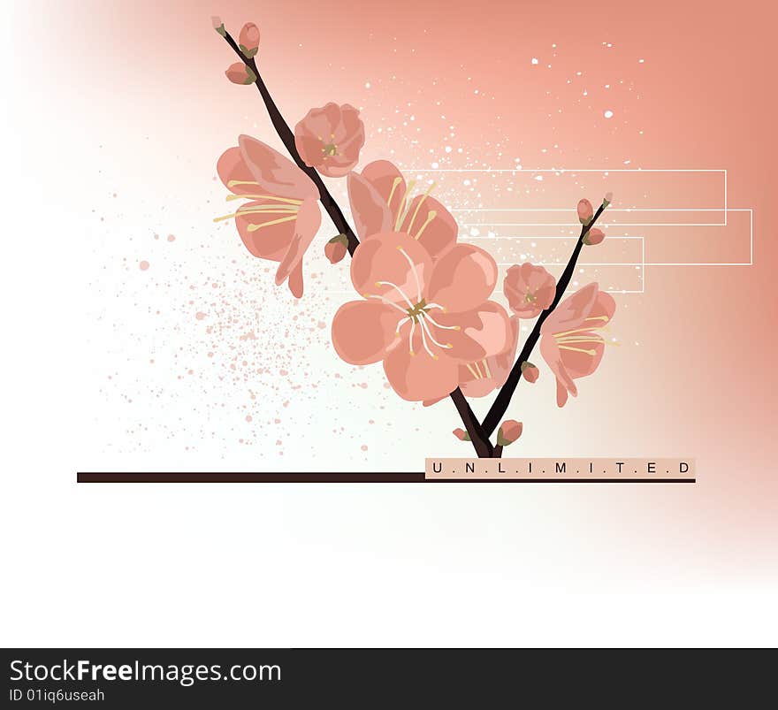 Spring Flower Background