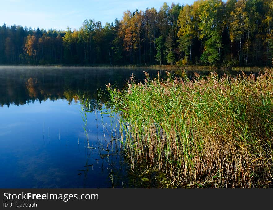 Autumn morning at remote forest lake