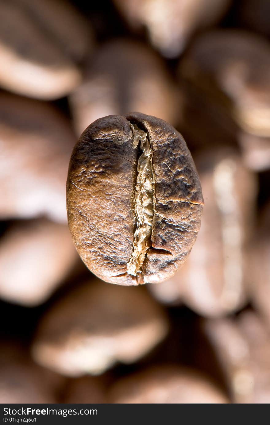 Background from the spilled grains of Brazilian coffee