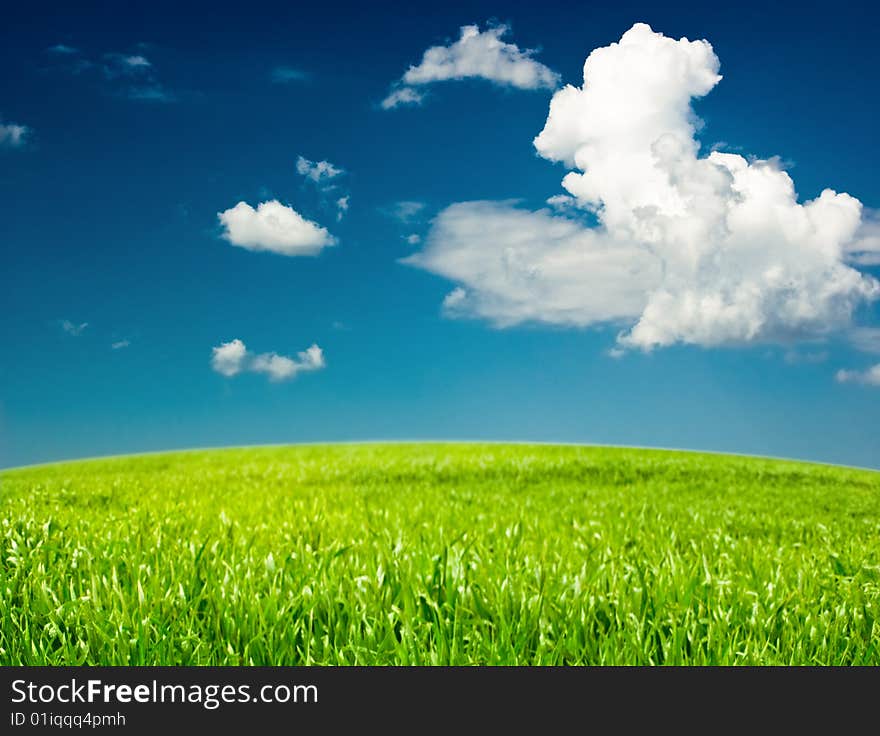 Background of cloudy sky and grass. Background of cloudy sky and grass