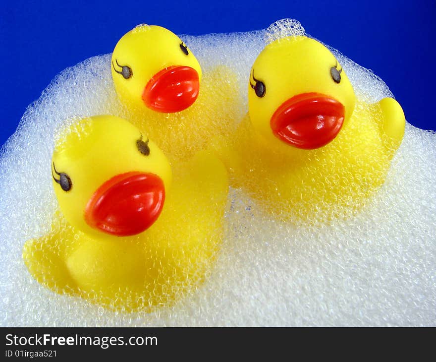 Three rubber duckies floating in a bubble bath with a blue background. Three rubber duckies floating in a bubble bath with a blue background