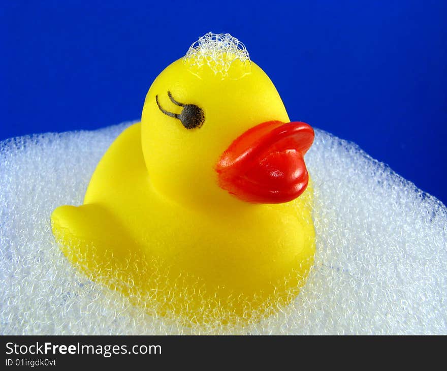 Rubber Ducky with Suds