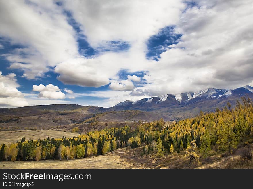 Blue sky with white clouds , mountains and forest. Blue sky with white clouds , mountains and forest