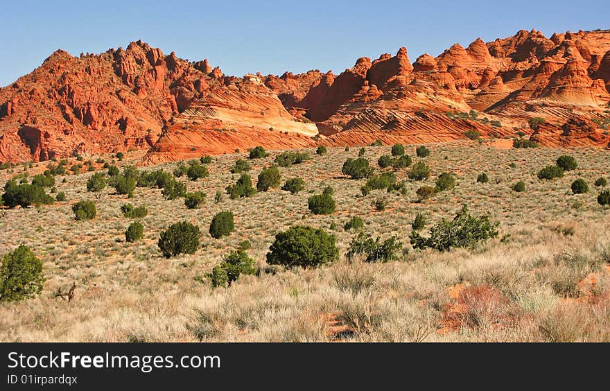 South Coyote Buttes Landscape