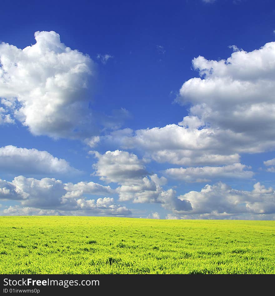 Field on a background of the blue sky