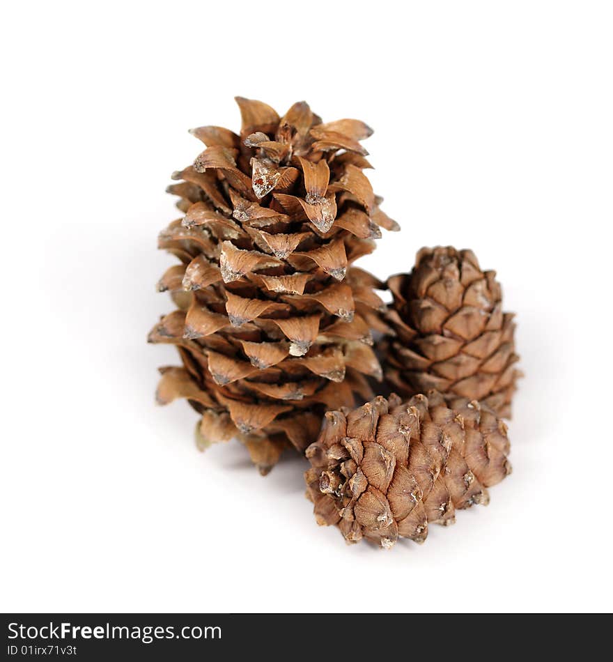 Three Siberian Pine Cones on White Background. Three Siberian Pine Cones on White Background