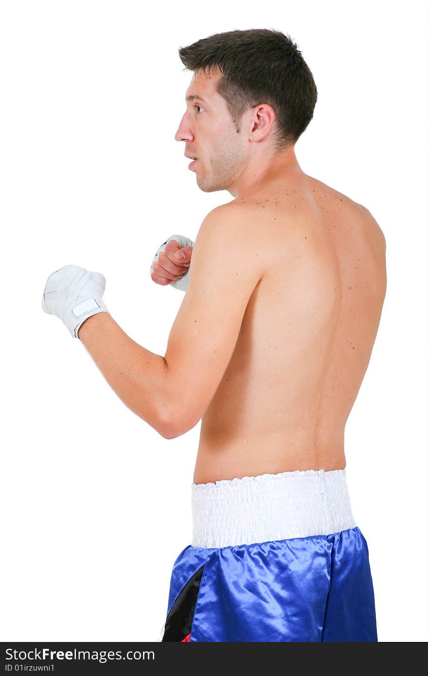 Boxer on a white background