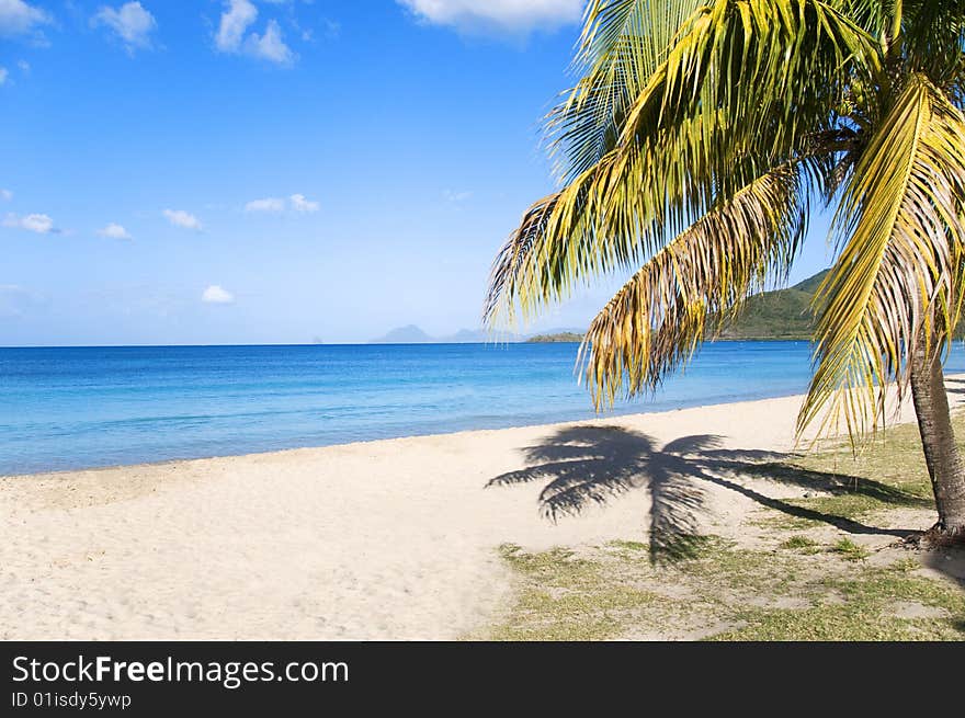 Long beach in Martinique island. Long beach in Martinique island