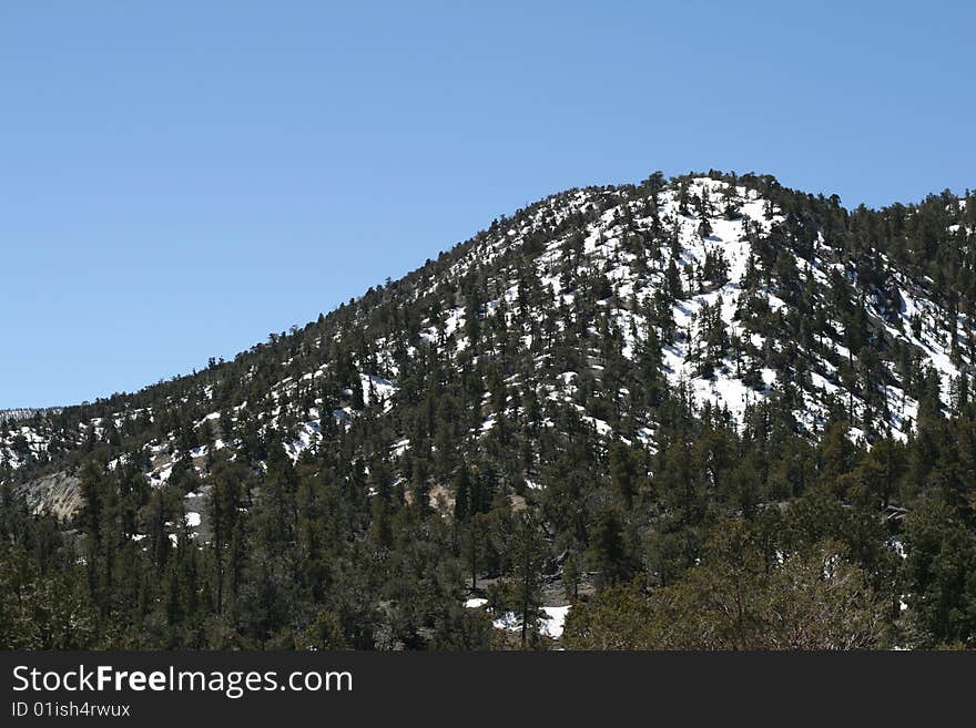 Spring Mountains, Nevada